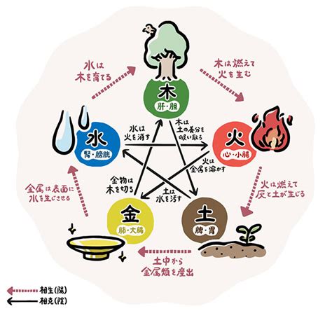 五行健康|「陰陽五行」とは？漢方の基礎知識 